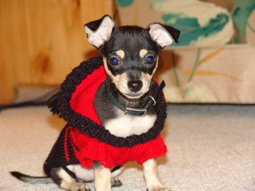 My new sweater!
