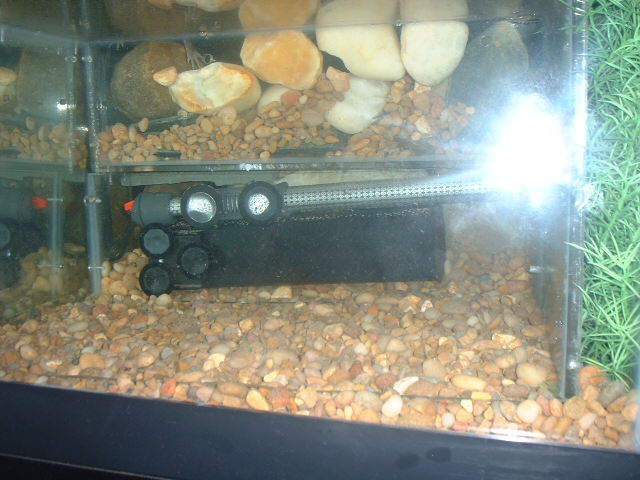 behind Plexi-island; filter and heater