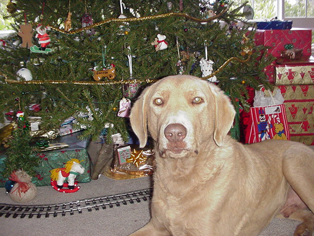 Carson's Christmas