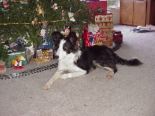 Reata's Christmas