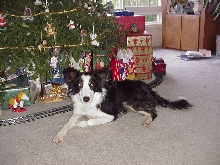 Reata's Christmas