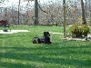 Early Spring '05