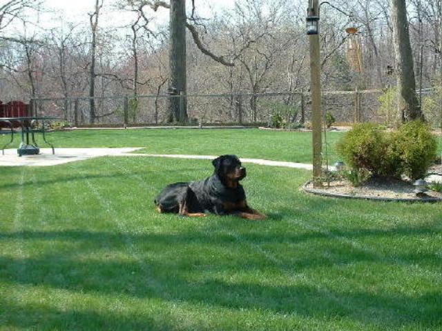 Early Spring '05