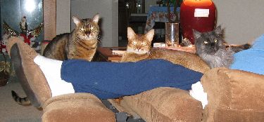 Ash Antares and Zade on Dad's Lap