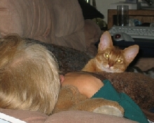 Antares On Mom#1