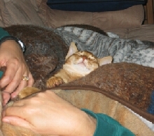 Antares On Mom#2