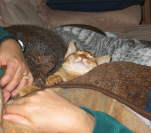 Antares On Mom#2