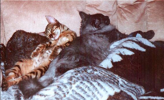 Ash and Zade Sleeping
