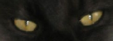 Ash Eyes