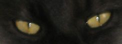 Ash Eyes