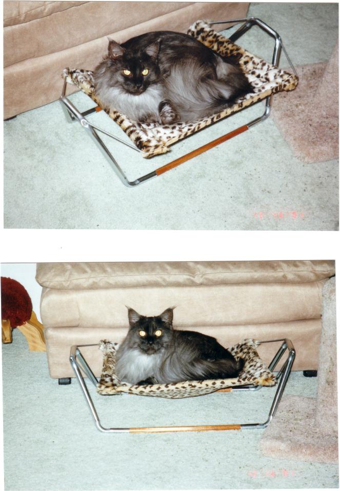Ash in his Hammock