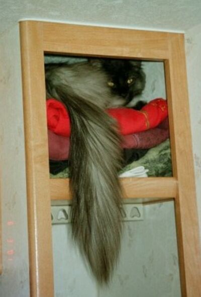 Ash in his Cubby