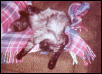 Ash Sleeping Very Wierd