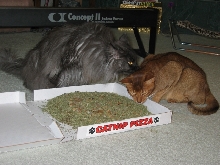 Psst Let's Ask Mommy for more