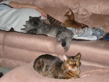 Nap Time