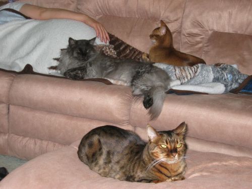 Nap Time