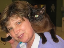 Burmese from Cat Show