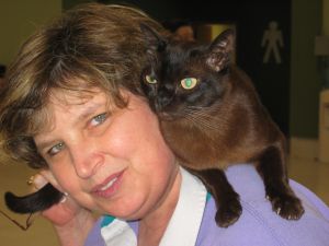 Burmese from Cat Show