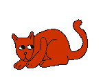 Cat Expands