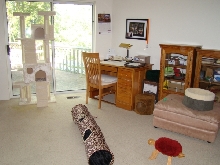 Kitty World 1