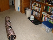 Kitty World 2