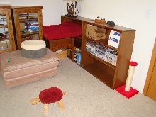 Kitty World 3