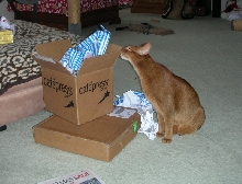 Dis My Box