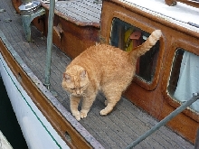 Eloise Sailboat
