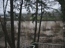 High Water in The Rogue River