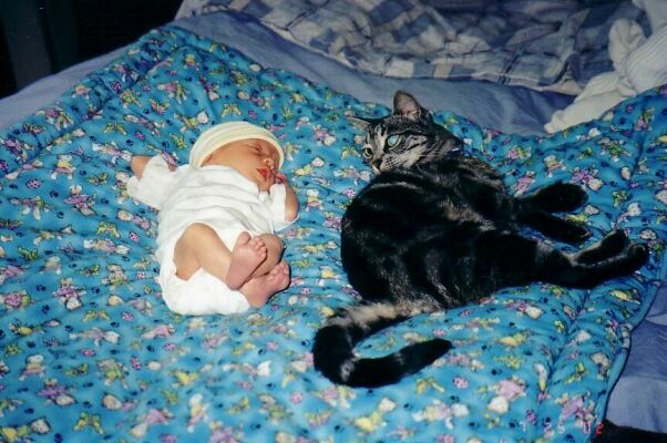 Kylie and Kona napping