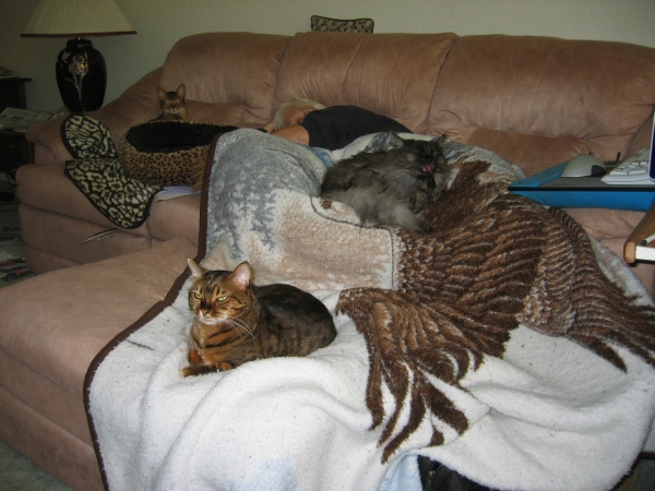 All 4 Are Cumfy