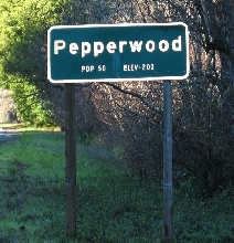 Pepperwood