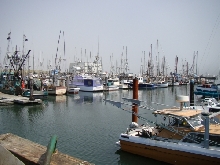 Boat Basin