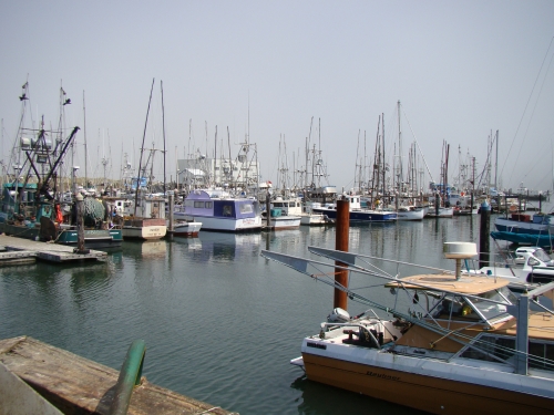 Boat Basin