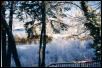 Snow on the Rogue River, 2002