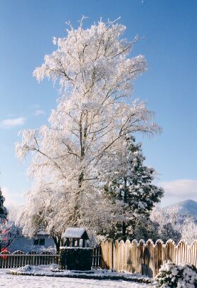 Snow, 2002