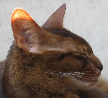 Beautiful Aby Profile