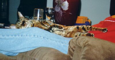 Zade Sound Asleep