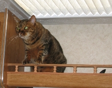 This Ledge is My Ledge