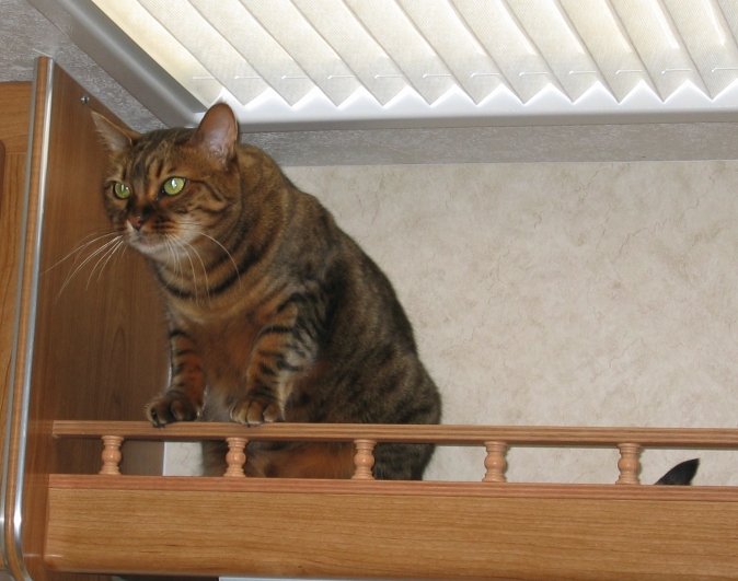 This Ledge is My Ledge