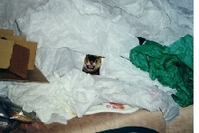 Zade in Tissue Paper