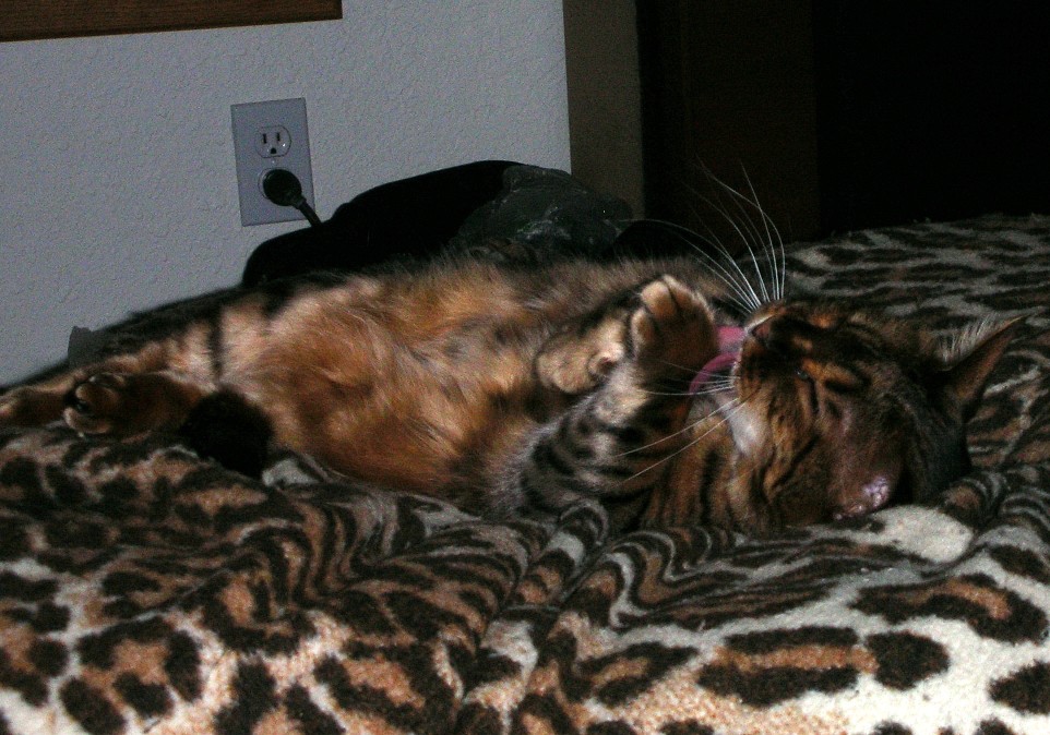 Zade bathing to become more beautiful
