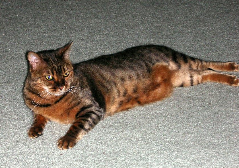 Zade stretched out