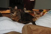 Zade and Antares sleeping together