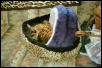 I want both beds!