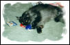 Ash and Christmas Toys