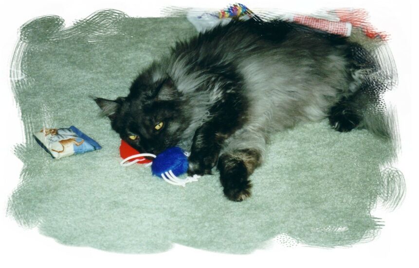 Ash and Christmas Toys