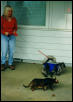 Ash and Zade Walking Mommy
