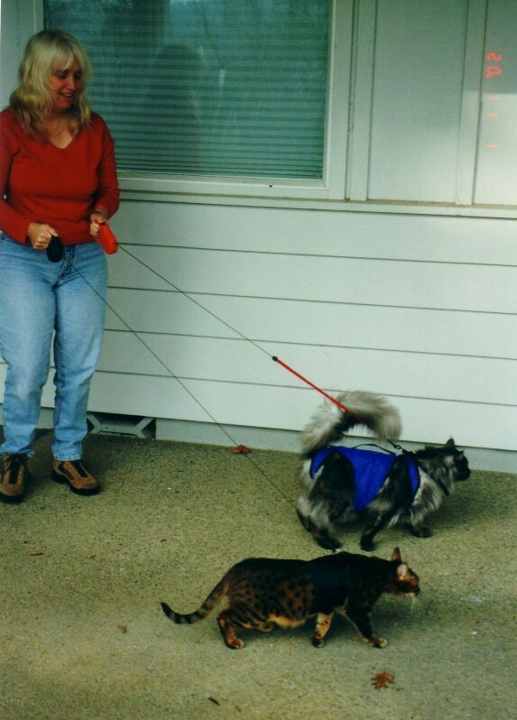 Ash and Zade Walking Mommy