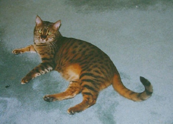 Zade on Floor